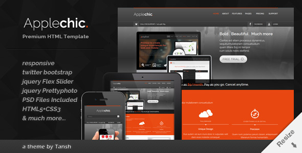 Applechic Responsive Software HTML Template Nulled Nulled - Free Download