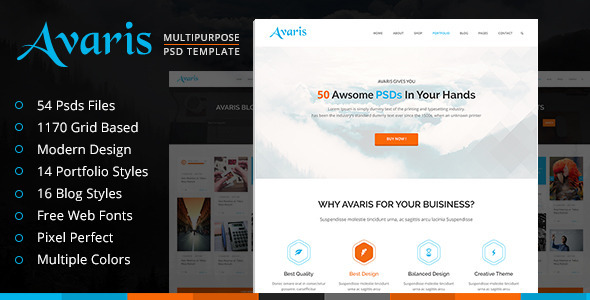 Avaris | Multipurpose PSD Template Nulled