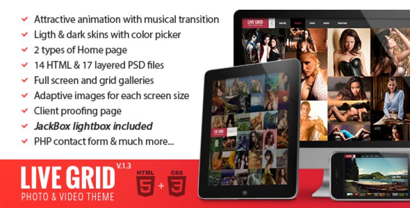 LIVE GRID - Responsive Interactive HTML Portfolio Nulled Nulled - Free Download