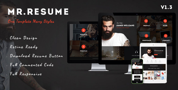 Mr.Resume - One Page Resume/Personal PSD Template Nulled Nulled Free Download
