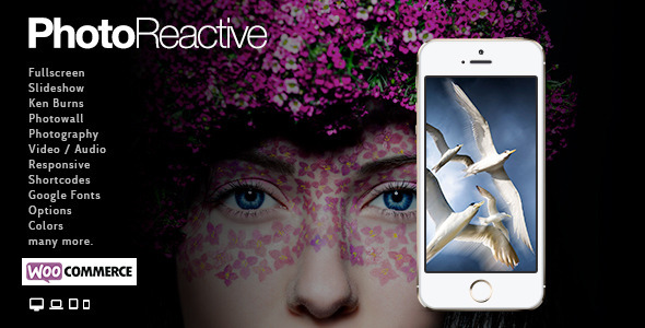 PhotoReactive | WordPress Theme Nulled Nulled - Free Download