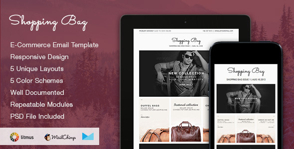 Shopping Bag - Responsive Ecommerce Email Template Nulled Nulled - Free Download