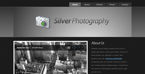 Silver Photography | Photo Template Nulled Nulled - Free Download