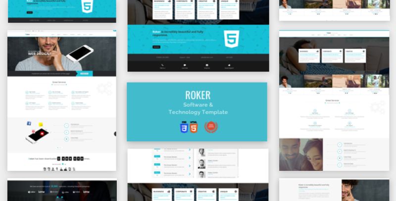 Software & Technology  Html Theme- Roker Nulled Nulled - Free Download